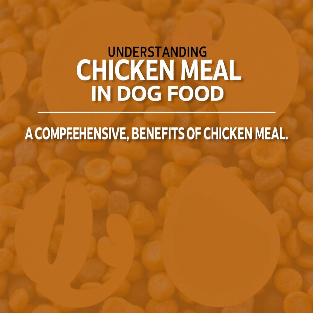 狗食中的雞粉是什麼意思
